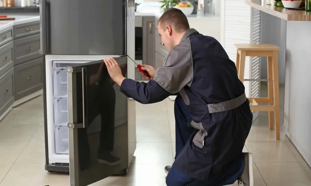Common Fridge Problems That Need Repair
